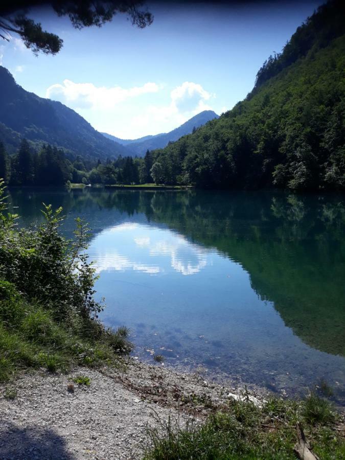 Apartment Mojca Near Bled Zabreznica Buitenkant foto